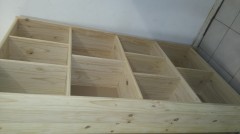 Fileshelf - 1800x1200 Pigeon